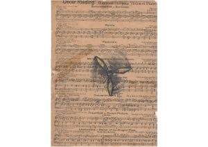 Lisa_Premke_accidental_monotony_drawing_weisser_elefant