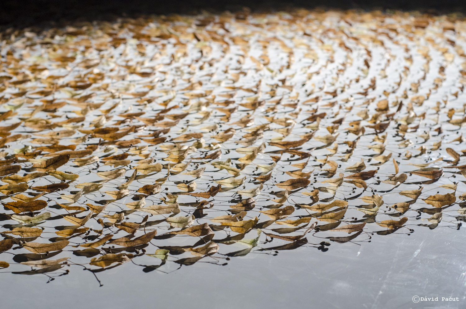 Thick_Skin_Installation_View_detail_Kosice_White_Night_Lisa_Premke_Gethan_and_Miles