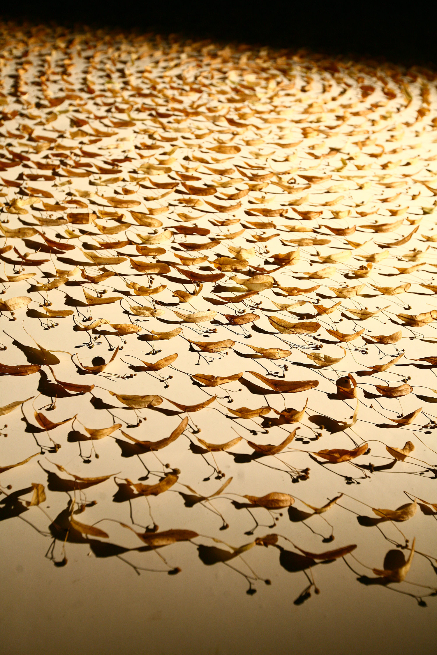 Thick_Skin_Kosice_White_Night_Lisa_Premke_Gethan_and_Miles_foto_lena_jakubcakova